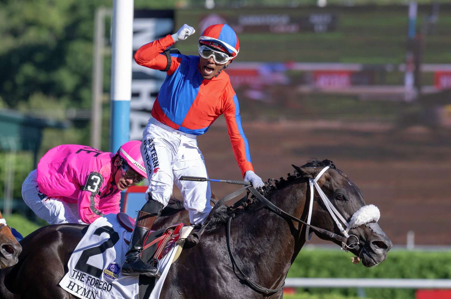 Hymn, Saratoga'da Forego Stakes'te birinciliği elde etti.